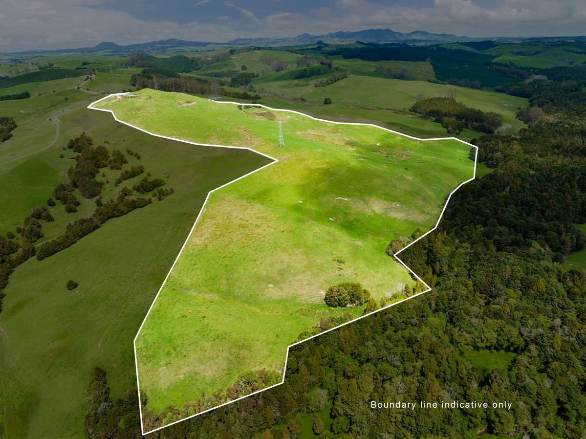 207 Aponga Stream Road_4