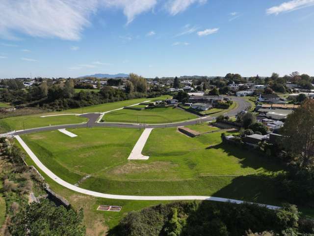 ** Ruru Downs Putaruru_2