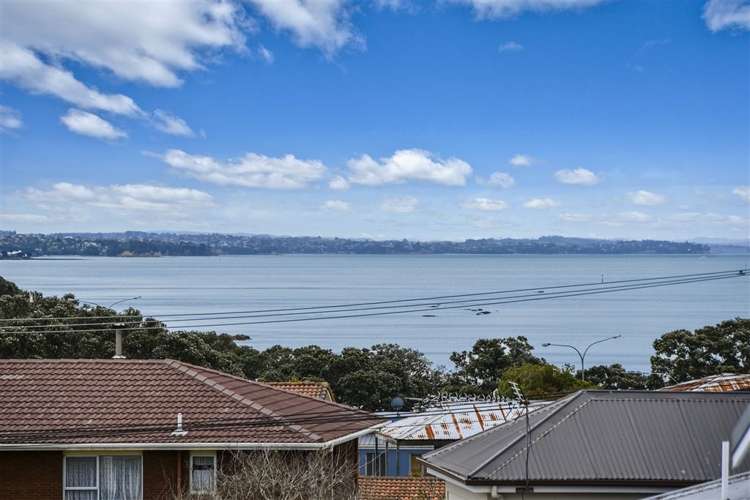 169 Vauxhall Road Narrow Neck_15