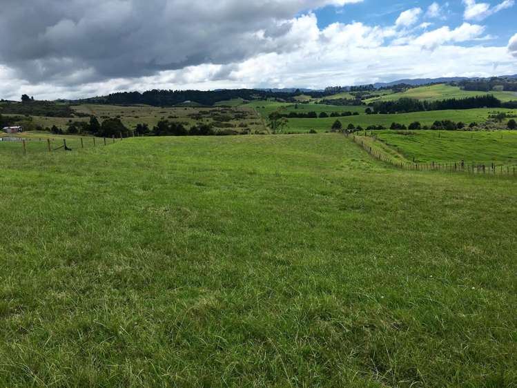244 Devich Road Mangawhai_10