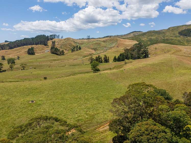 106 State Highway 25 Otapaurau_11