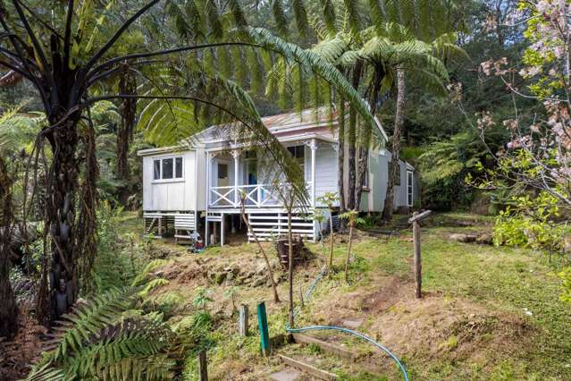 11 Waitawheta Road, Waikino Waihi_2