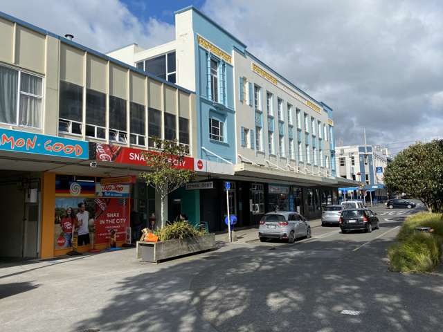 17 Brougham Street New Plymouth_3