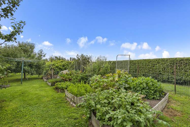 63 Dunn Road Ruawai_19