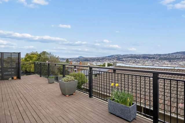61 Scobie Road Waverley_4