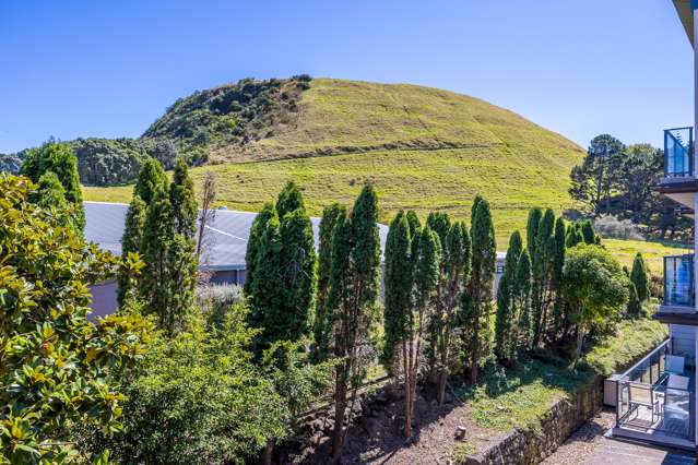 26/68 Mountain Road Mount Wellington_1