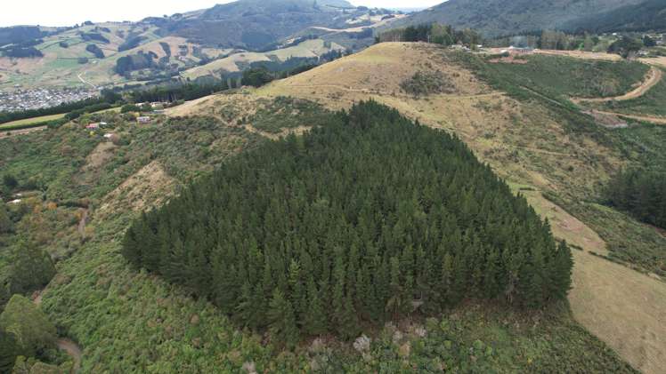 61 Reynoldstown Road Port Chalmers_5