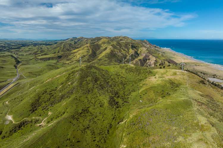 7797 State Highway 1 Ward_8