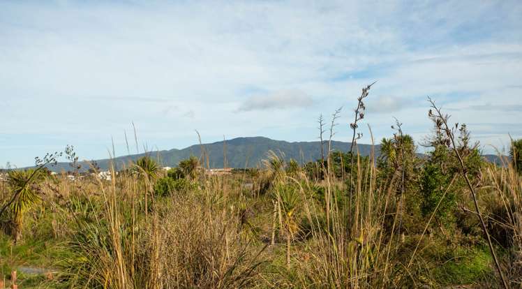 8 Taranui Way Paraparaumu Beach_20