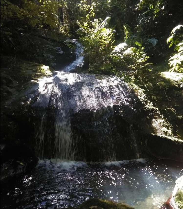 974 The 309 Rd Whitianga_35