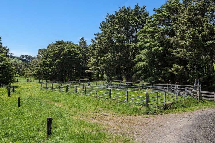 Coxhead Road Parakao_3