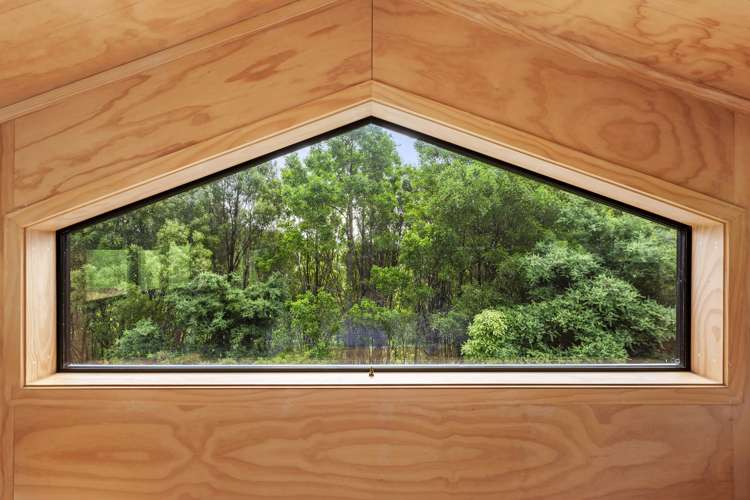 843 Old Mountain Road Raglan_13