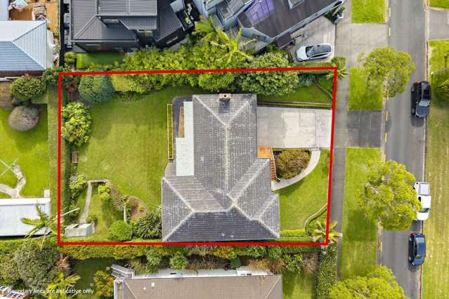 Multi Use Development Options