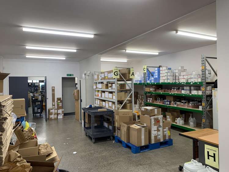 16 Botha Road Penrose_4