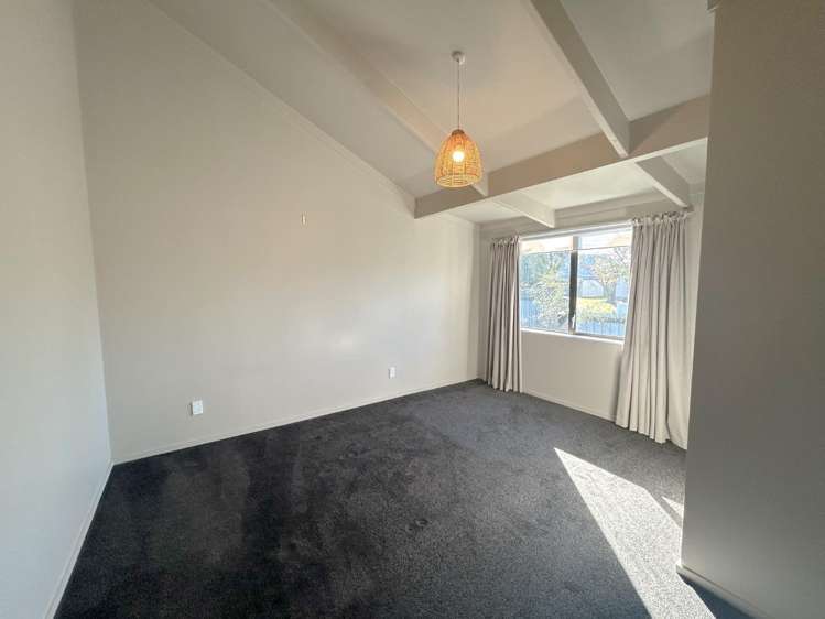 26a Harris Street (Main House) Greenmeadows_8