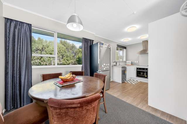 25A Upper Plain Road Masterton_4