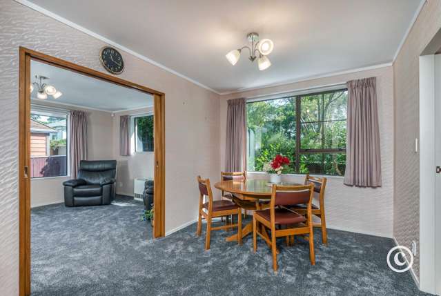 16b Trafalgar Street Johnsonville_2