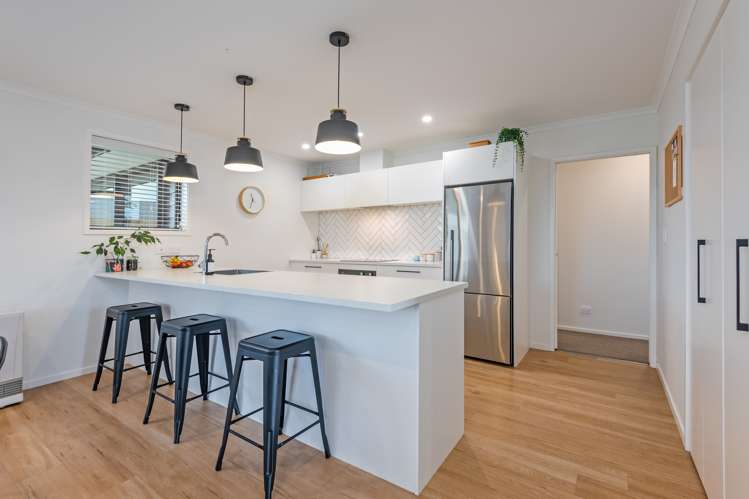 23 George Street Bulls_1