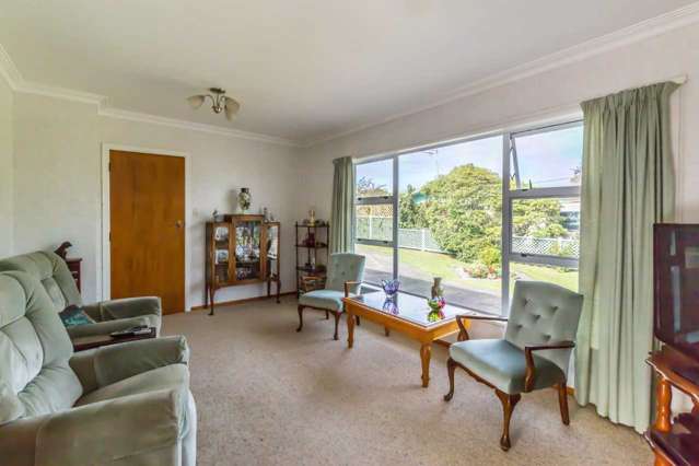 14a Baden Street Levin_1