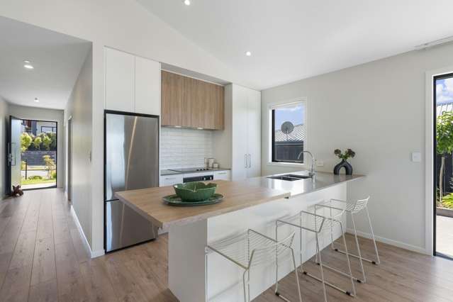 Orawahi Rd Glenbrook_3