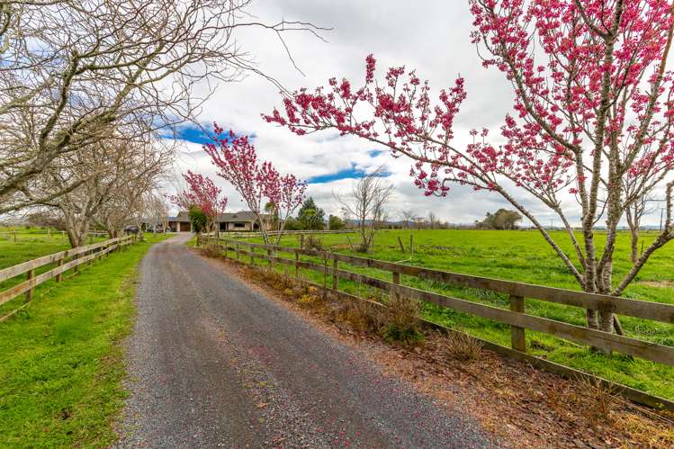 252 Reservoir Canal Road Kerepehi_17