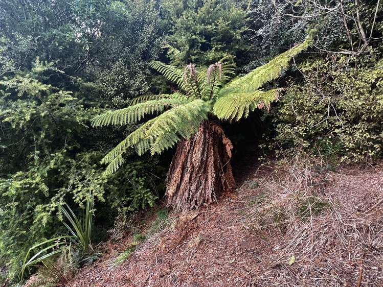 134 Marama Avenue South Otatara_8