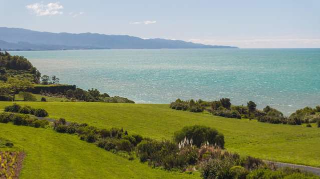 45 Deck Road Tasman_2