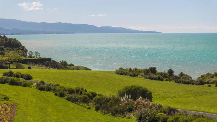 45 Deck Road Tasman_2