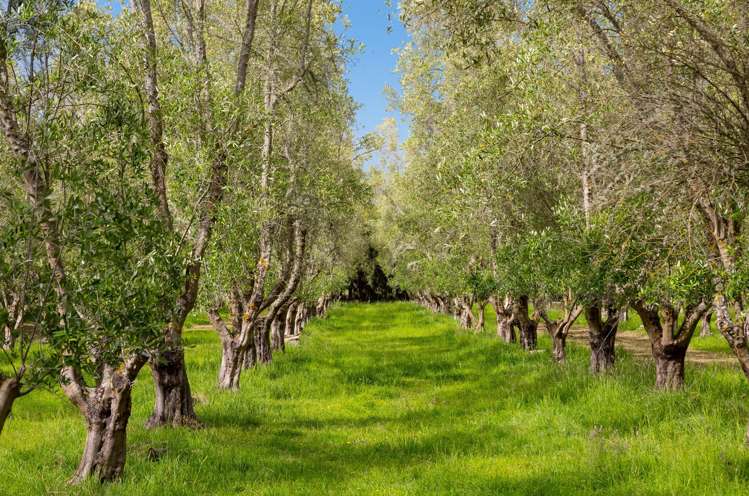 179 Bidwills Cutting Road_4