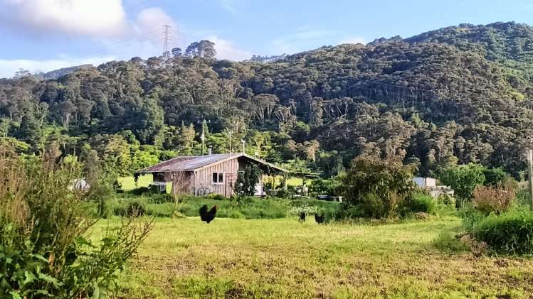 18 Neavesville Road Puriri_8