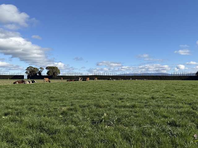 169 Hamilton Road Isla Bank_1