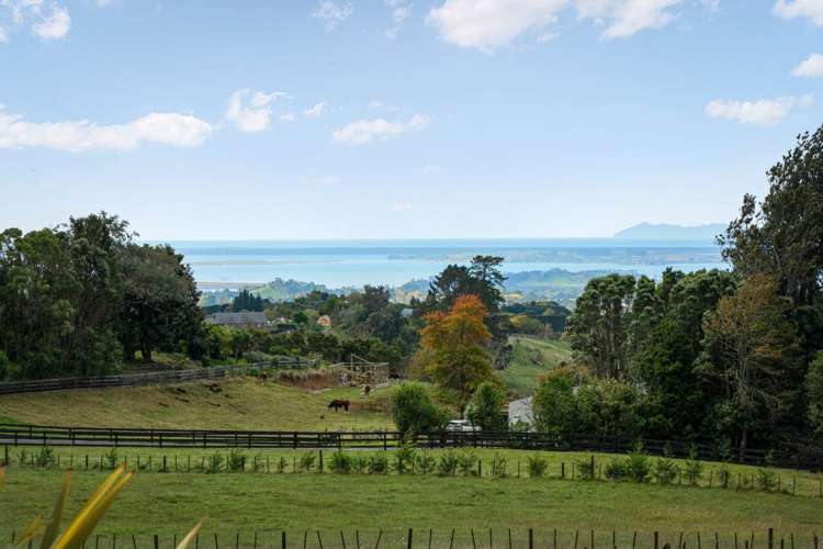 760 Esdaile Road Whakamarama_31