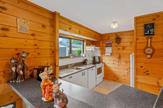 175 Normanby Road Rakaia_4