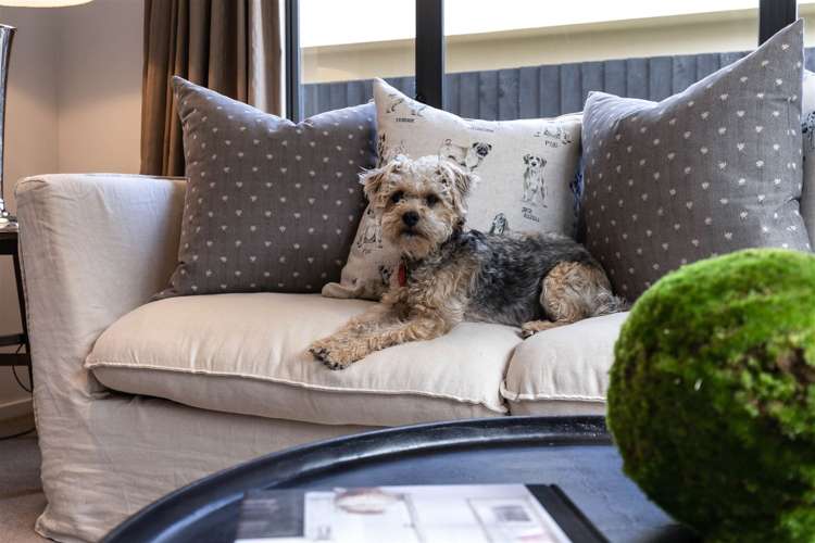 4/67 Brockworth Place Riccarton_1