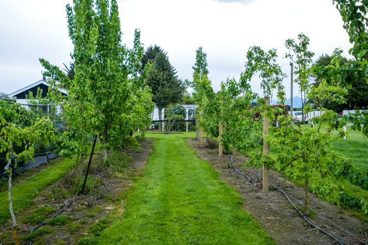 7 Opuha Saint East Orari_22