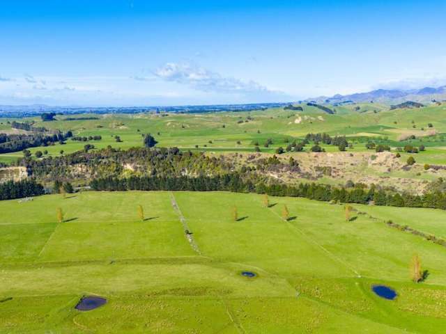 1139 Blackburn Road Central Hawkes Bay_2