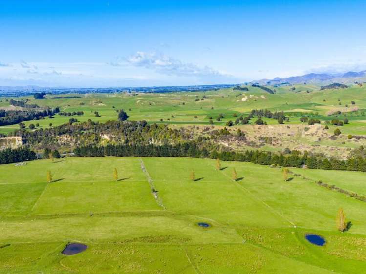 1139 Blackburn Road Central Hawkes Bay_2