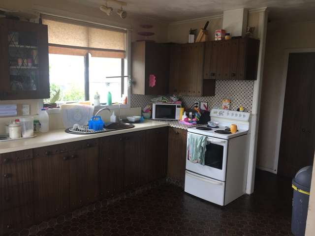 5 Thomson Avenue Otorohanga_2