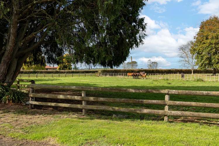 493 Driver Road Ngaruawahia_9