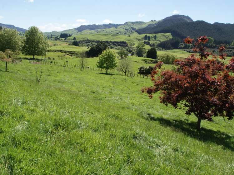 5506 State Highway 4 Waimiha-Ongarue_7