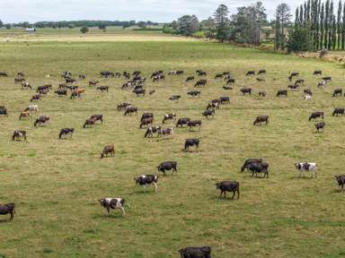 133 Hopai East Road_3