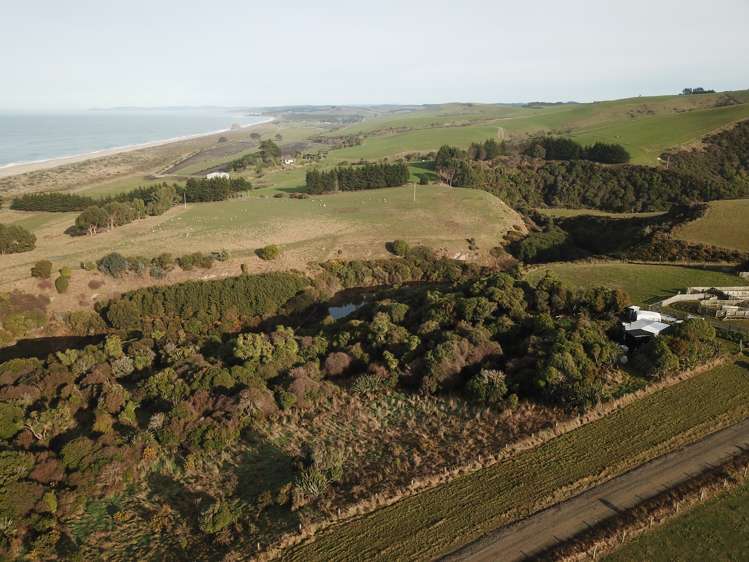 168 Chrystalls Beach Road Milton_13