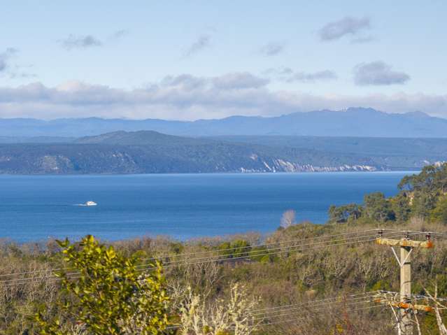 64 Wakeman Road Acacia Bay_4