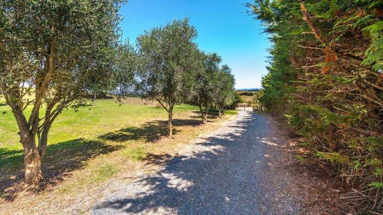 354 Dominion Road Tuakau_11