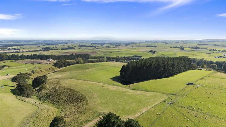 80 View Road Halcombe_5