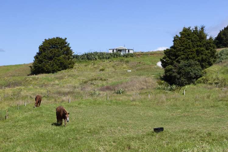 1238 Fern Flat Road Kaeo_20