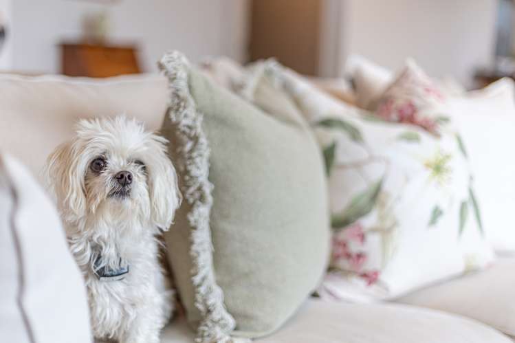 89a Beach Haven Road Beach Haven_7