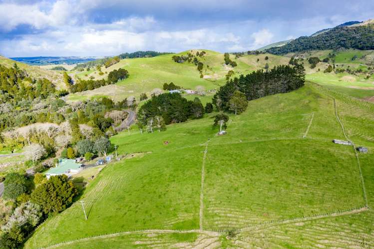 2136 Waihue Road Dargaville Surrounds_20