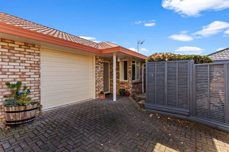 14 Totara Park Whakatane_14