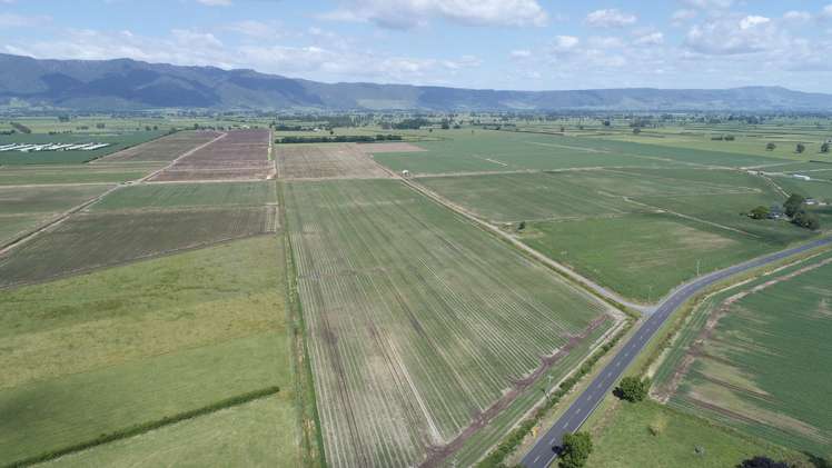 1291 Alexandra Road Waharoa_6